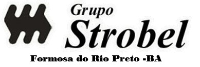grupo strobel